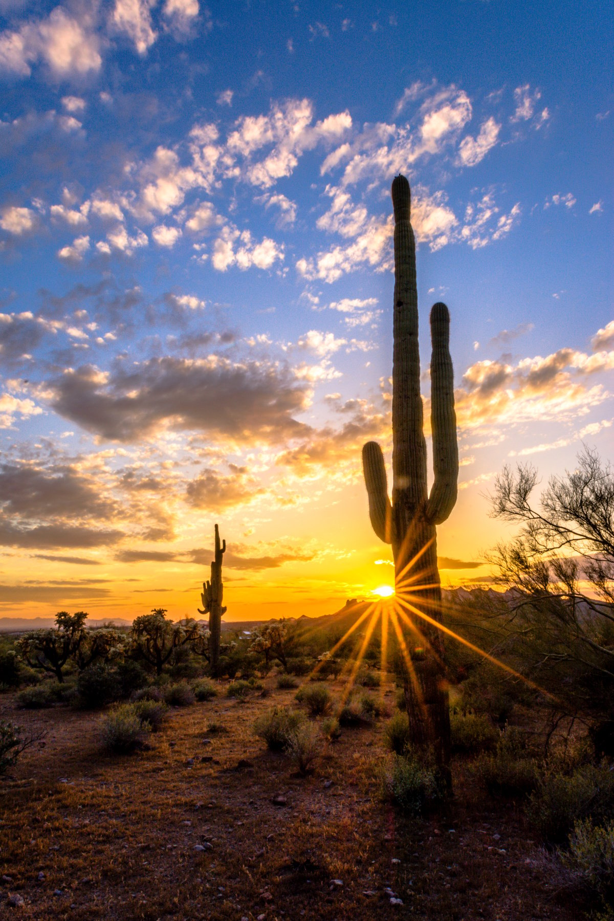 Arizona Sunset